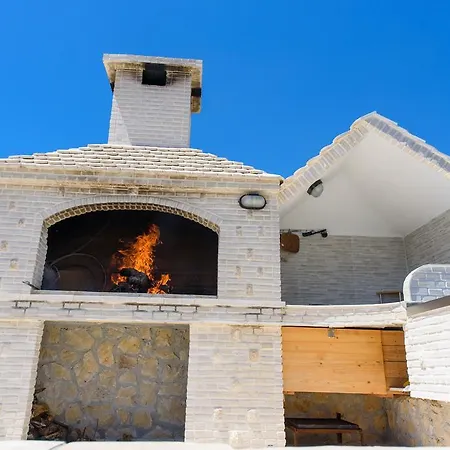 Patricia 特罗吉尔