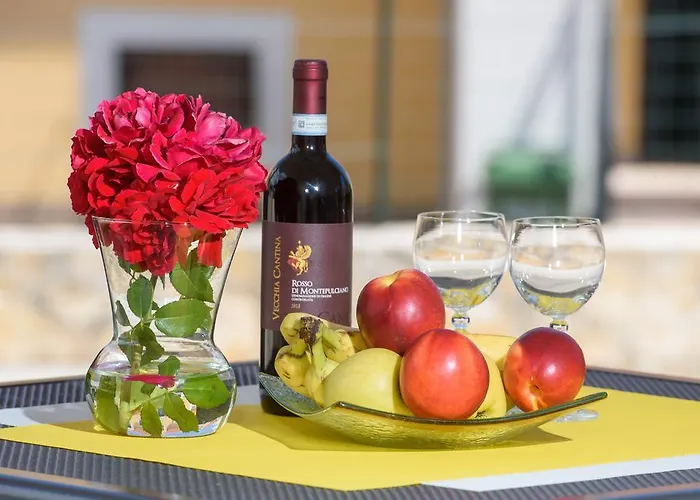 Patricia 트로기르